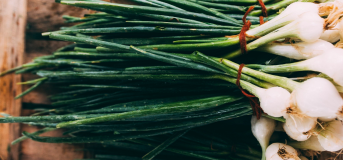 Зелена цибуля